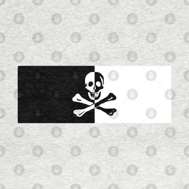 Skull Cross Bones Pirate Skeleton by PlanetMonkey